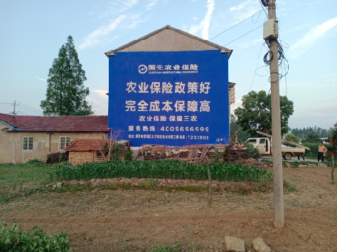 小金墙体广告的优劣势你知道吗？